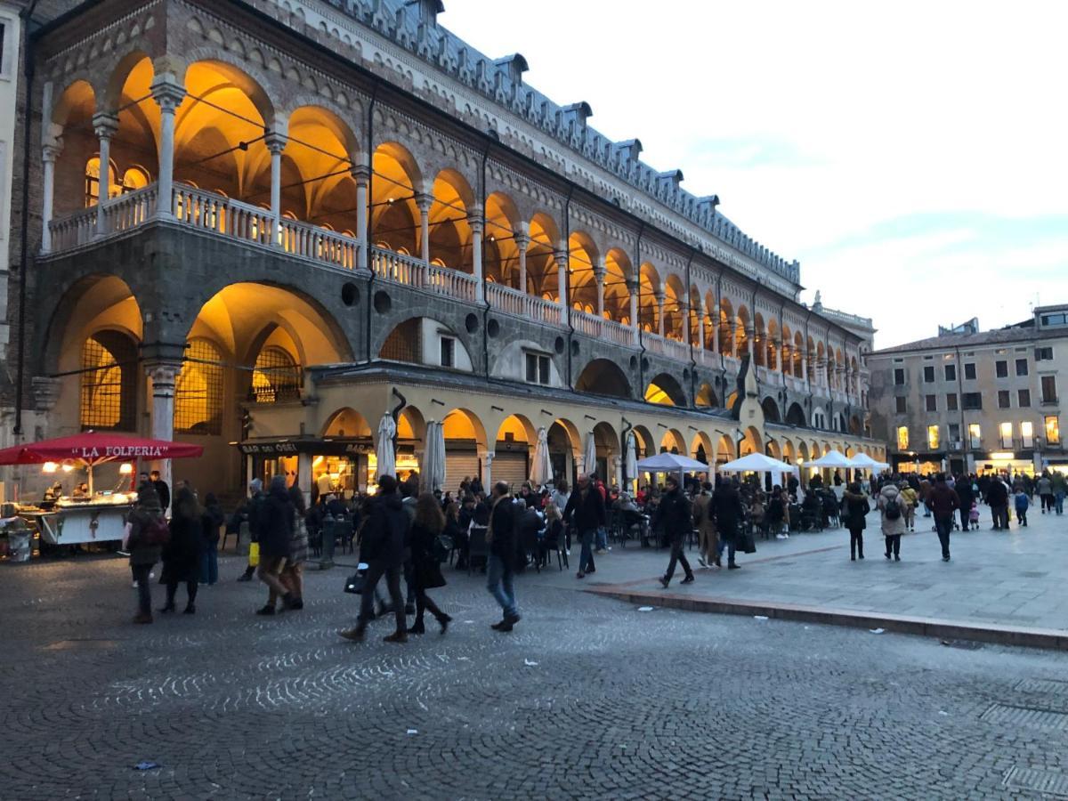Dei Frutti Pieno Centro - Il Cedro Apartment Padua