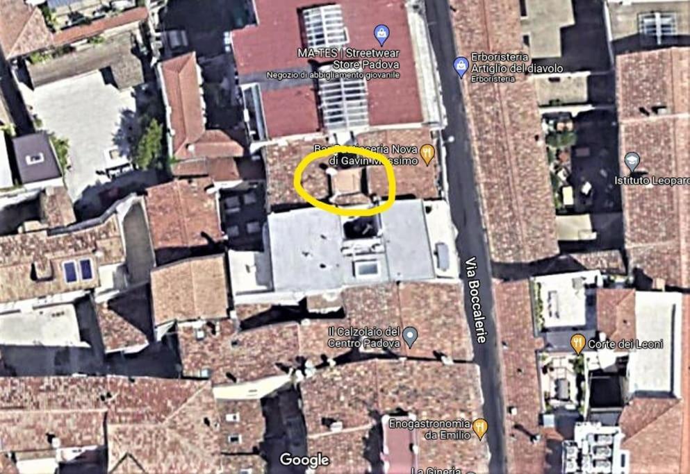 Dei Frutti Pieno Centro - Il Cedro *